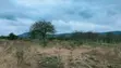 Mixed-Use Land for Sale in Thatha Hills, Matuu - 4