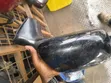 Toyota Auris Side Mirror (2005) - 1
