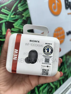 Sony WF-1000XM6 Earbuds za Kuzuia Kelele