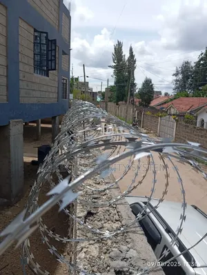 Galvanized Silver Razor Wire (10 Meters)