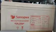 Sunnypex Deep-Cycle Solar Gel Battery - 1