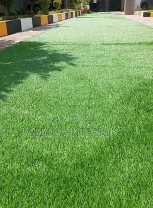Gazebo Area Grass Carpets - Environmental Friendly