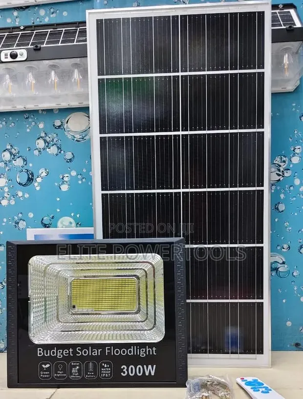 300W Budget Solar Floodlight - 1