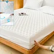 Waterproof Mattress Protector - 2