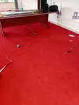 Wall to Wall Carpet - Rich Texture - 1