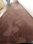 Premium Wall-to-Wall Carpet for Homes & Offices - 2