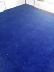 Delta Blue Wall-to-Wall Carpet - New - 2
