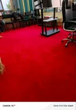Wall-to-Wall Office Carpet - KES 2,500/sqm - 2