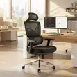 Executive Orthopedic Office Chair with Adjustable Armrests - 3