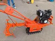 Diesel Chain Tiller - 173F Engine - 2