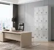 12 Locker Steel Office Industrial Cabinet - 2
