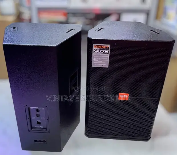 JBL SRX715 Professional 15-Inch PA Speaker - 1
