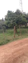 Kenol Prime Residential Plot for Sale - 2