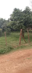 Kenol Prime Residential Plot for Sale - 5