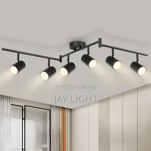 Adjustable Modern Ceiling Spot Light - Black