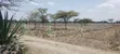 50x100 Prime Land in Chaka, Nyeri County - 2