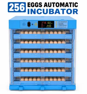 256 Egg Automatic Incubator