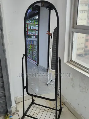 Full Length Standing Mirror with Wheels & Shoe Storage