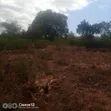 3 Acres Prime Flat Land for Sale in Kivaa - 1