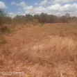 3 Acres Prime Flat Land for Sale in Kivaa - 2