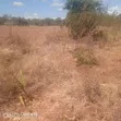 3 Acres Prime Flat Land for Sale in Kivaa - 3