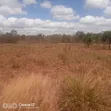 3 Acres Prime Flat Land for Sale in Kivaa - 4