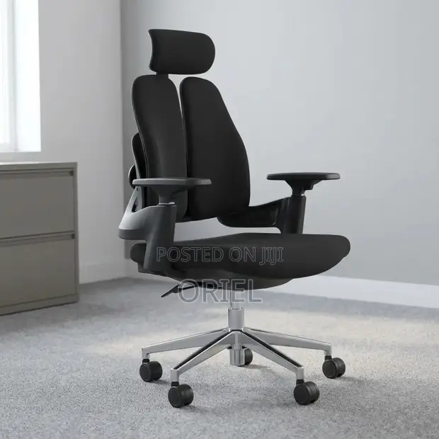 Double-Back Ergonomic Orthopedic Office Chair - 1