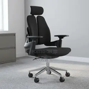 Double-Back Ergonomic Orthopedic Office Chair