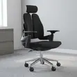 Double-Back Ergonomic Orthopedic Office Chair - 1