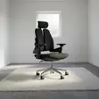 Double-Back Ergonomic Orthopedic Office Chair - 2