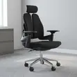 Double-Back Ergonomic Orthopedic Office Chair - 5