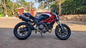 Ducati 2010 Standard (Naked)