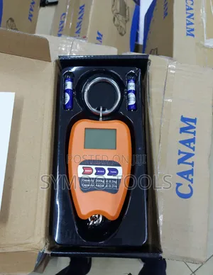 200 Kg Digital Mini Crane Scale