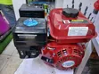 Aico 8.0HP Gasoline Engine - 1