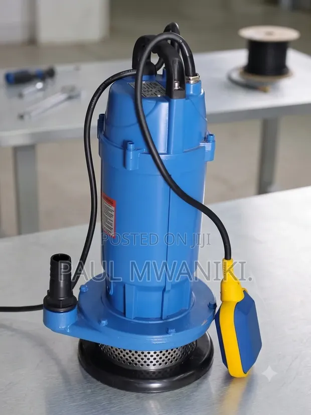 Brand New Submersible Water Pump with Float Switch - 1