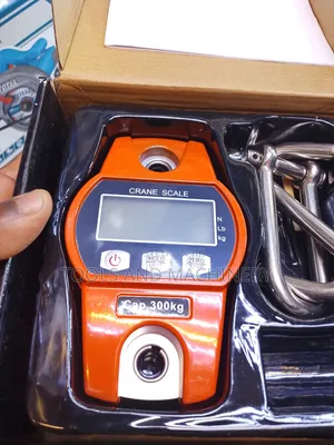 Professional Crane Weighing Scale - 300kg