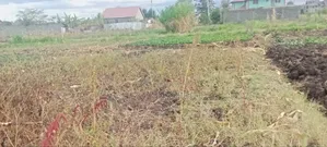 Mwihoko 50x100 Plot for Sale