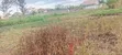 Mwihoko 50x100 Plot for Sale - 2
