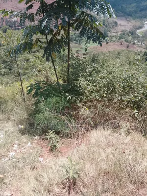 Kiharu Land for Sale - Near Muranga University & Edinburgh Rehab