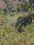 Kiharu Land for Sale - Near Muranga University & Edinburgh Rehab - 3