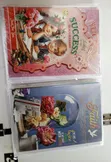 A4 Success Cards (Dozen) - 1