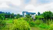 Prime Residential Plot for Sale in Kikuyu Near Kari - 4