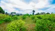 Prime Residential Plot for Sale in Kikuyu Near Kari - 5