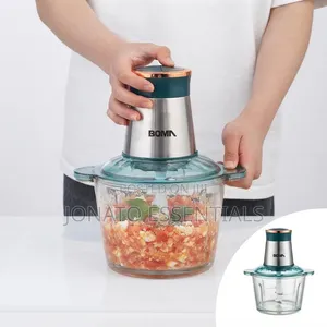 3L Electric Meat Grinder & Vegetable Chopper (300W)