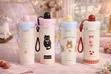 ACE Insulated Water Bottle, 750ml, Stainless Steel - 5