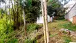 Prime Plot for Sale in Kikuyu Town - 5