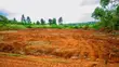 Prime Residential Plot for Sale in Kikuyu, Migumoini - 5