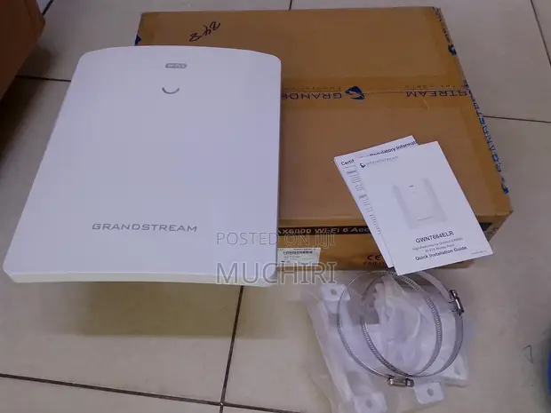 Grandstream GWN7664ELR Extended Range WiFi 6 AP - 1
