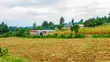 Prime Residential Plots for Sale in Kikuyu, Near Kari - 3