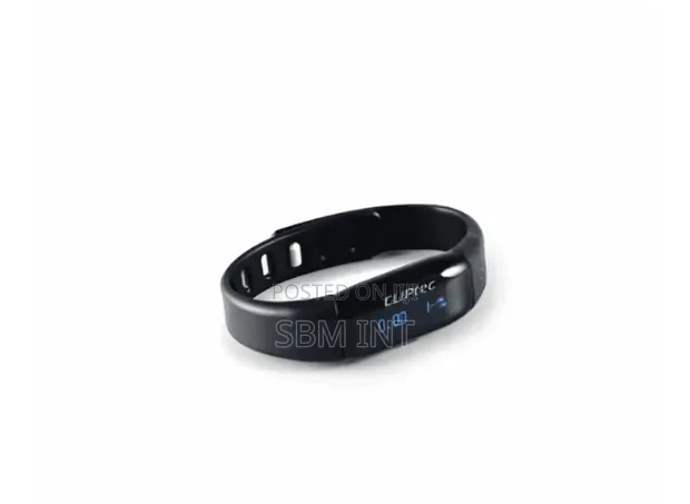 Cliptec Pedometer Watch - 1